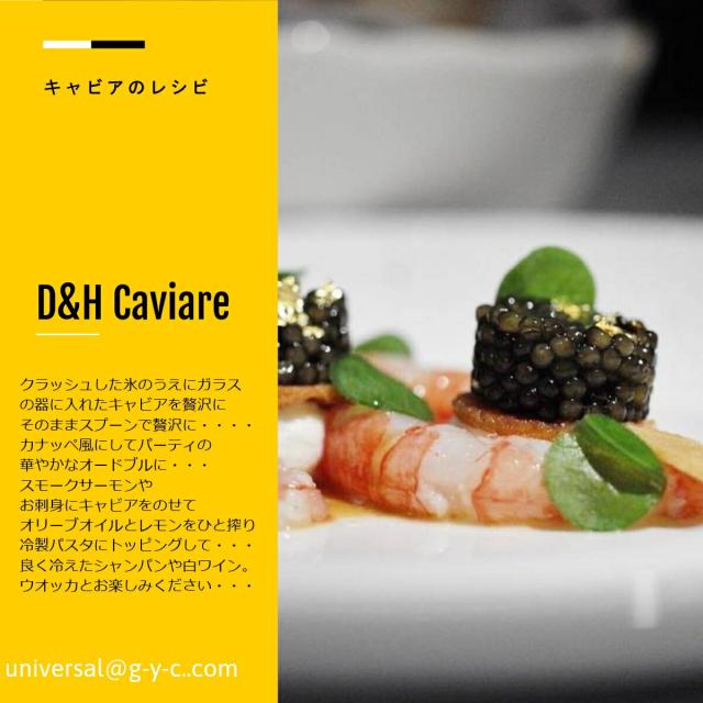 【キャビア高級ランクの中NO,２】フレッシュオセトラキャビア　D&H　caviar フレッシュオショートルキャビア缶100ｇ　【父の日　ギフト　プレゼント　お返し　お中元　お歳暮　パーティ】_7