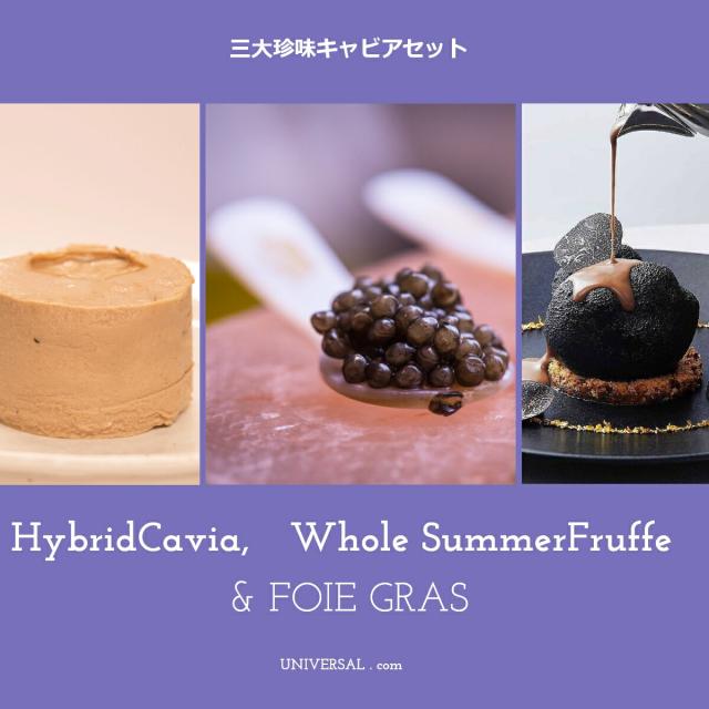 【そっと渡せる、高級感】 世界三大珍味 ３種 　ハイブリッドキャビア２０ｇ　フォアグラ６７ｇトリュフ１％入　サマートリュフ５０g セット　高級 珍味 人気 御中元 ギフト プレゼント お返し お礼 お祝い ランキング　 冷蔵