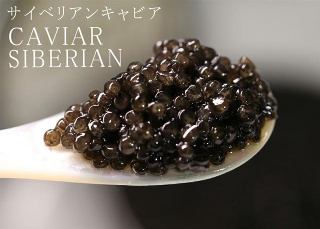 【厳選100％純正サイベリアンキャビア】シベリアチョウザメキャビア　D&Hcaviar　フレッシュサイベリアンキャビア缶100ｇ　6年熟成　お取り寄せグルメ　お洒落グルメ　贈り物　プレゼント　内祝　贈答用　手土産　お祝い　ギフト【送料無料】冷凍