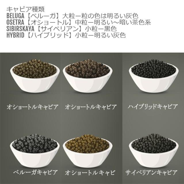 【キャビア高級ランクの中NO,２】フレッシュオセトラキャビア　D&H　caviar フレッシュオショートルキャビア缶100ｇ　【父の日　ギフト　プレゼント　お返し　お中元　お歳暮　パーティ】_4