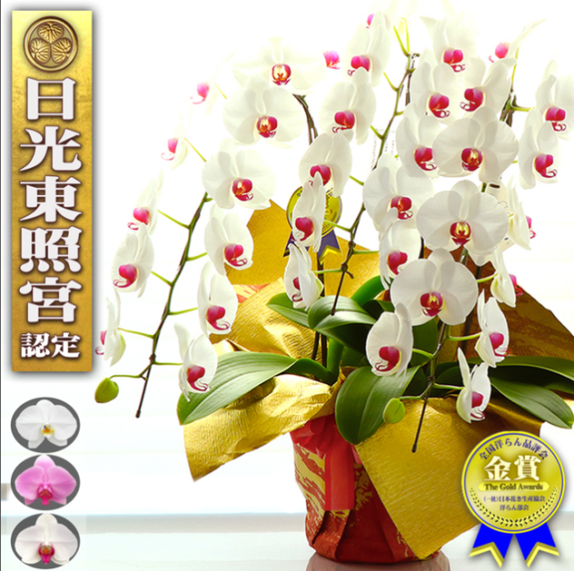 イノシシ胆嚢 胆のう お守り 厄除け｜猪の胆のう イノシシ 厄除け