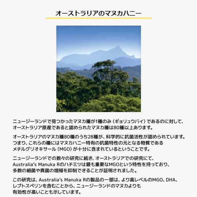 ★ ◆訳あり◆◇《送料無料》アクティブ マヌカハニー MGO1200+ 250g 2個 賞味期限【2025年3月31日】