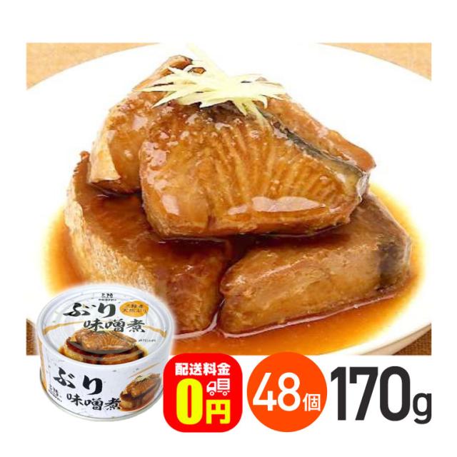 WATWING 武道館 ロンT