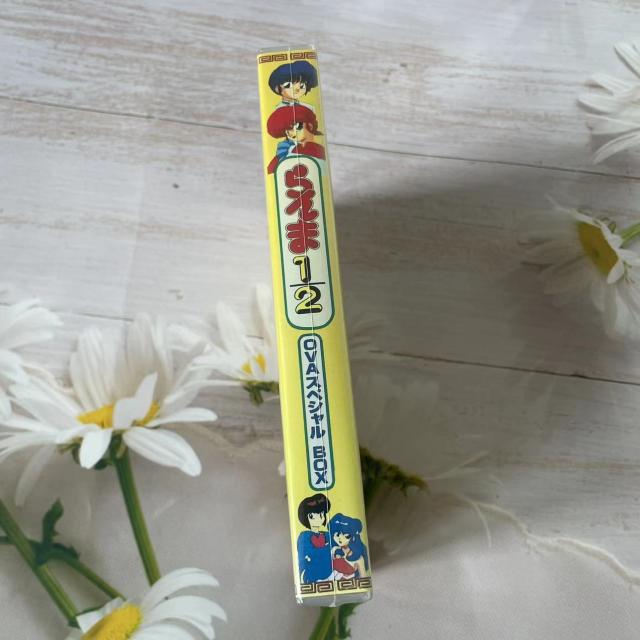 らんま1/2 OVAスペシャルBOX_2