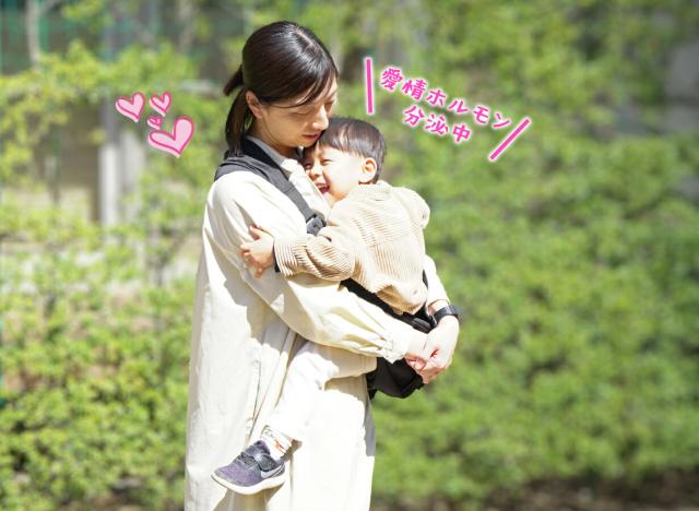 Hug育 バッグ DDiccho 抱っこができる ショルダーバッグ 抱っこ紐 20kg