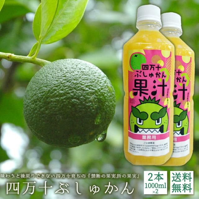 【期間限定セール】四万十ぶしゅかん 高知県産 香酸柑橘 ぶしゅかん果実 国産柑橘 1000ml×2