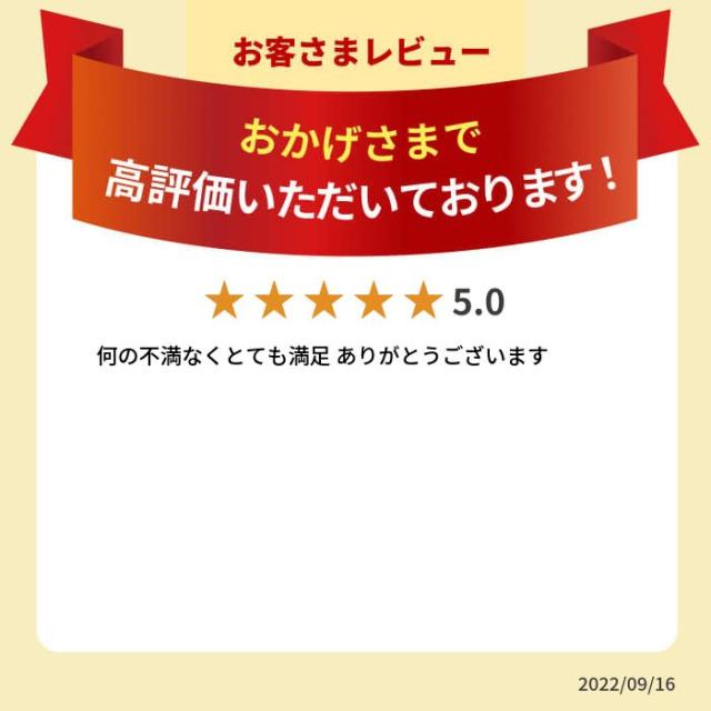 日本陸軍 三八式軍衣 上下軍服 高級複製品 サバゲー 日本軍 受注生産品_5