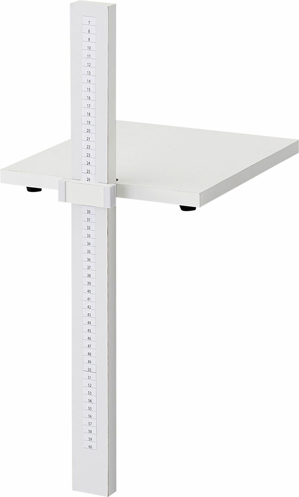 DANNO （ダンノ） 学校体育器具 器具・備品 立位体前屈測定器 【ホワイト】 D-3638 器具 メンズ・レディース 男性用・女性用 淡野製作所 白 9999 C-1 {SK}