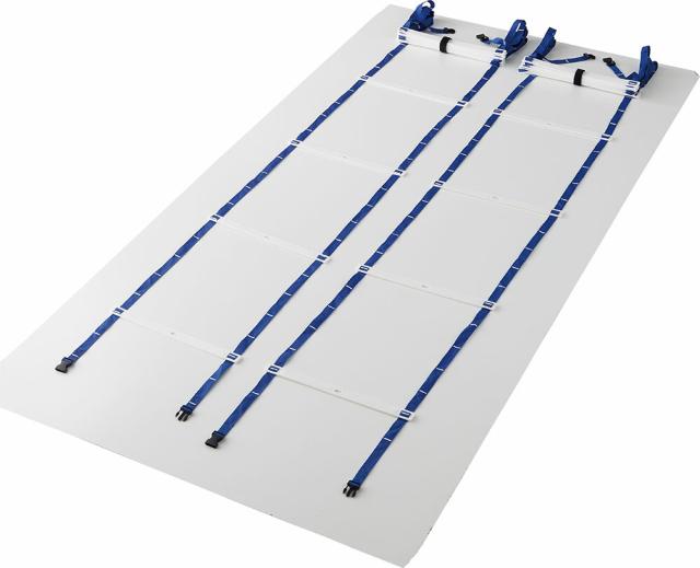 DANNO （ダンノ） 学校体育器具 器具・備品 ラダーL550 2本1組 【ホワイト/ブルー】 D-5307 器具 トレーニング器具 メンズ・レディース 男性用・女性用 淡野製作所 白 青 B-2 {SK}