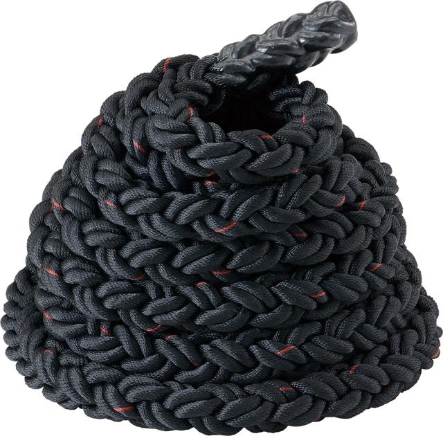 DANNO （ダンノ） 学校体育器具 器具・備品 バトルロープ 柔 【ブラック】 D-5310 器具 メンズ・レディース 男性用・女性用 淡野製作所 黒 20 C-1 {SK}