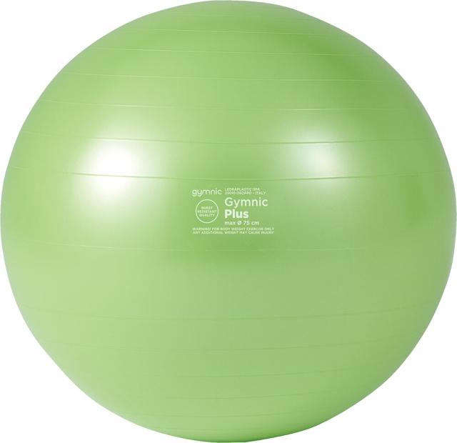 DANNO （ダンノ） 学校体育器具 器具・備品 ギムニクカラーボールPLUS 75 ライムグリーン 【グリーン】 D-5423LMG 器具 バランスボール メンズ・レディース 男性用・女性用 淡野製作所 緑 C-6 {SK}