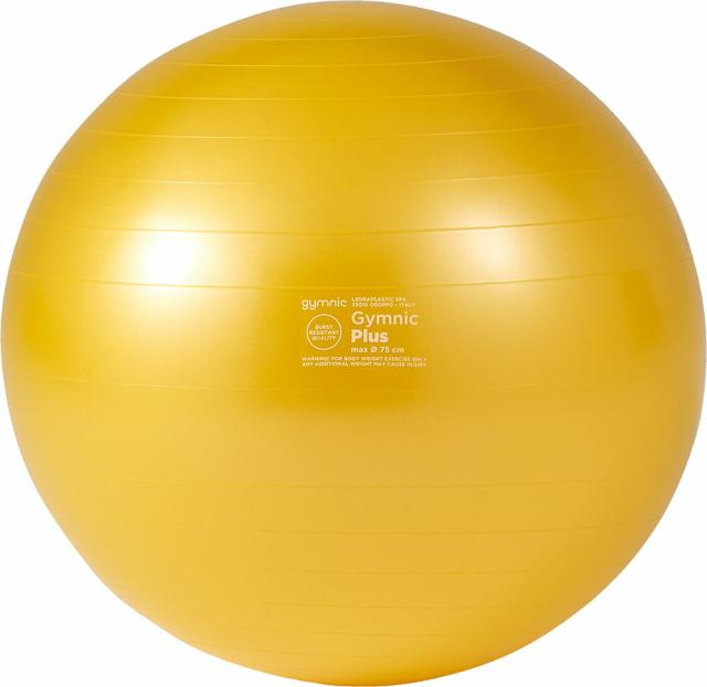 DANNO （ダンノ） ウェルネス 器具・備品 ギムニクカラーボールPLUS 75 【イエロー】 D-5423Y 器具 メンズ・レディース 男性用・女性用 淡野製作所 黄 9999 C-6 {SK}