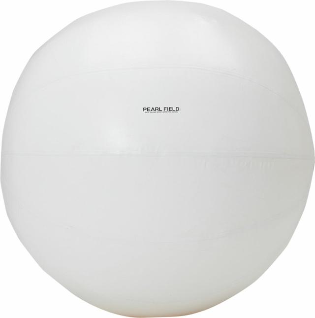 DANNO （ダンノ） 学校体育器具 器具・備品 大玉150ホワイト 【ホワイト】 D-7501W 器具 メンズ・レディース 男性用・女性用 淡野製作所 白 20 AC-1 {SK}