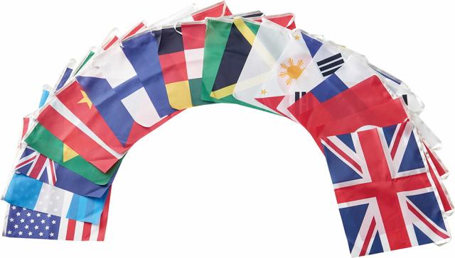 DANNO （ダンノ） 学校体育器具 器具・備品 万国旗20 横柄20枚1組 【ホワイト/ブルー/レッド/グリーン/イエロー】 D-7531 器具 万国旗 メンズ・レディース 男性用・女性用 淡野製作所 白 青 赤 緑 黄 9999 AC-10 {SK}