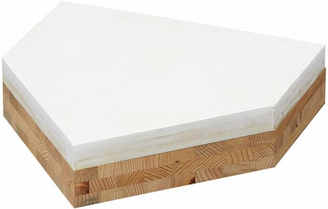 TOEI LIGHT（トーエイライト） 体育用品 野球 ソフトボール ベース・プレート ゴム製 木台付ホームベース 100 【ホワイト】 B2693 白 {SK}