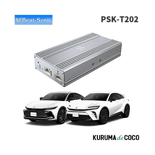 Beat-Sonic TOON Σ (ジグマ) アンプ PSK-T202 ビートソニックPSK-T202 プレミアムサウンド良音キット｜Beat-Sonic