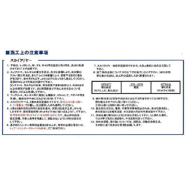 スカイクリヤー　12kgセット　（落書き簡単除去塗料/東日本塗料）