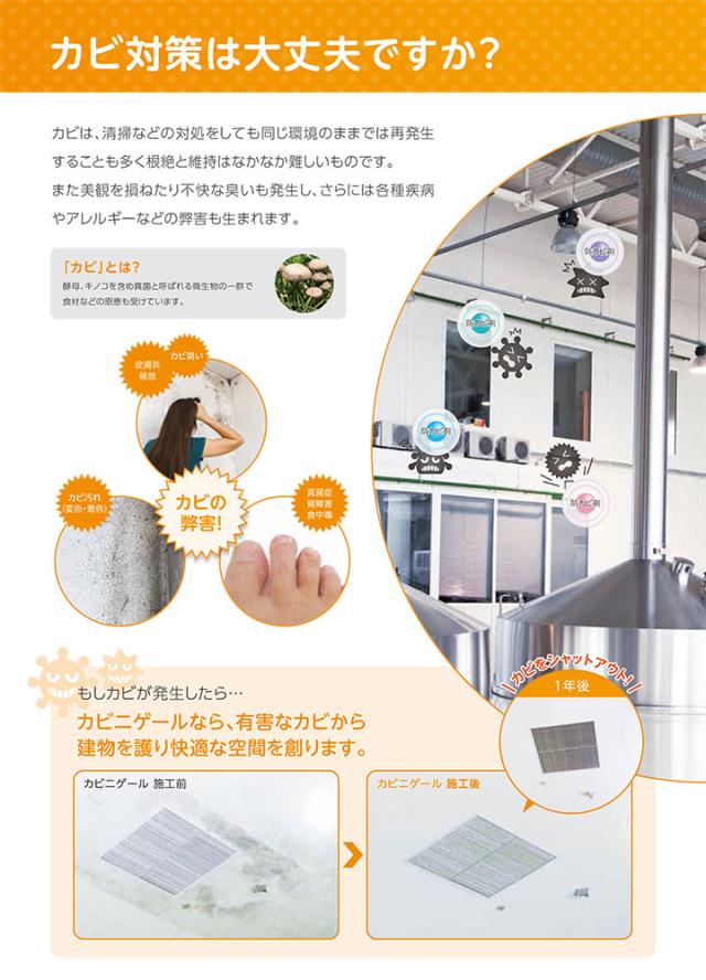 カビニゲールE　艶消 淡彩色　4kg（関西ペイント 室内用 防カビ塗料 つやけし）_3