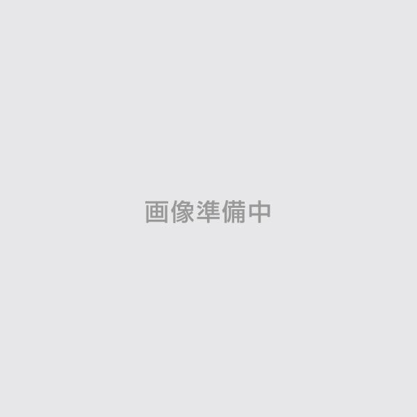 ビームライト#3000 クリヤー 4kg （シンロイヒ/アクリル樹脂反射塗料）