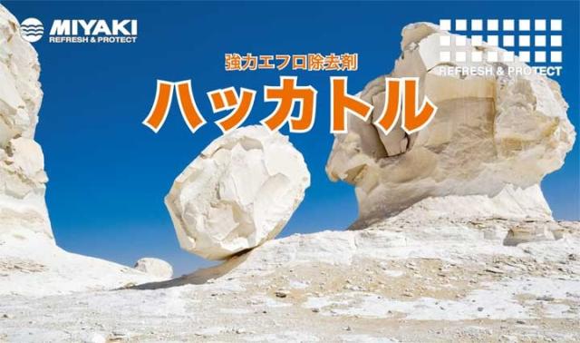 ミヤキ ハッカトル 18L （強力エフロ除去剤/白華・温泉スケール/石材/タイル/業務用）_1