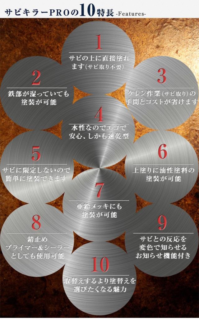 サビキラーPRO 4kg＜シルバー＞ 水性錆転換塗料 サビ封じ (サビに直接塗装 錆封じ) サビキラープロ BAN-ZI バンジ_1