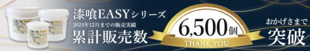 EF漆喰EASY 3kg + 小面積塗装セット 塗り面積 畳3.5枚分 ＜10色＞ ローラーで塗れる (水性 しっくい 壁 日本製 DIY) STK-50N_4