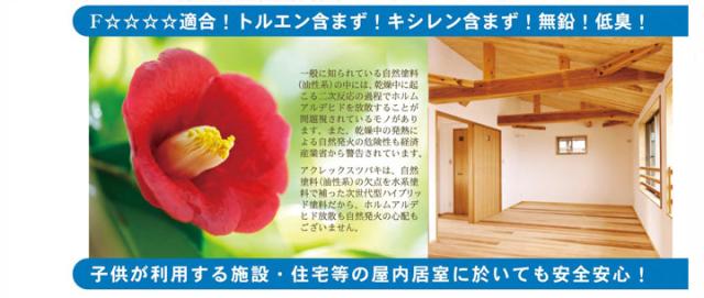 アクレックス　ツバキ　No.3700　3.5kg　（和信化学工業）_2