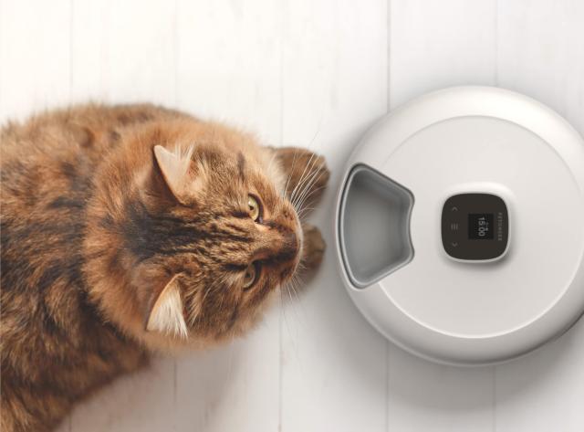 Petoneer NutriSpin 6 Meal Pet Feeder【ニュートリスピン】 安心の国内サポート 付き PF001 ペット用 自動給餌器 ウェットフード対応 2WAY給電 犬猫お留守番対策 お手入れ簡単 自動餌やり機 ペット用品_3