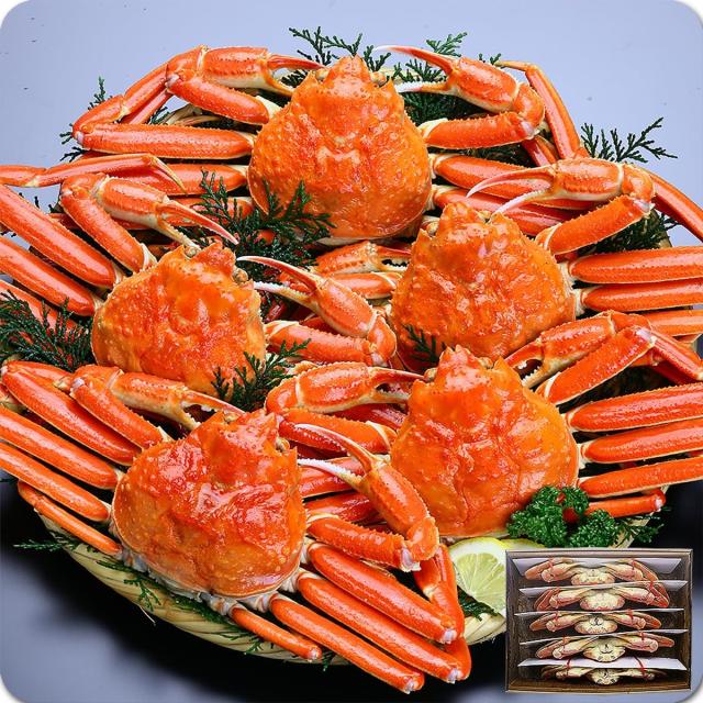ボイルずわいがに姿 3kg (大型サイズ×5ハイ)
