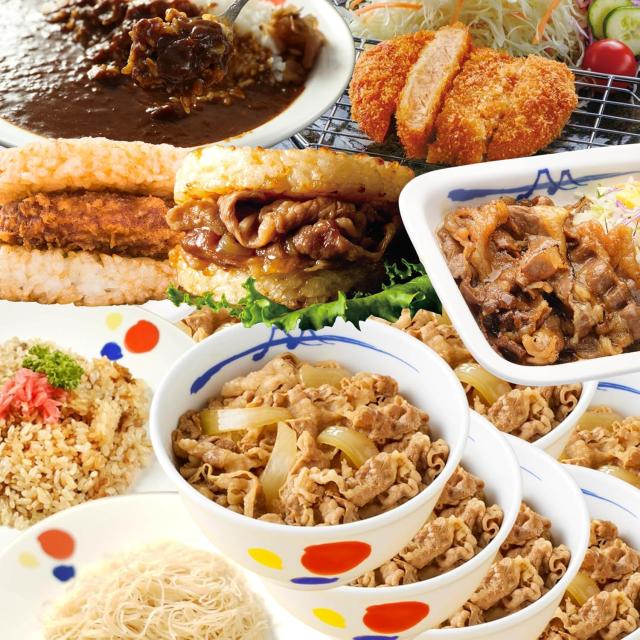 【松屋】（8種30食） 在宅応援てんこ盛り福袋 ※牛めしの具 （プレミアム 仕様） カレー ピラフ 焼肉 とんかつ 焼きビーフン 【冷凍】牛丼