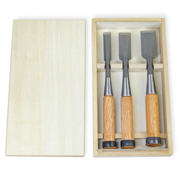 送料無料 追入鑿 3本組 ハイス鋼 木箱入 大工道具 木彫り 鑿 ノミ のみ