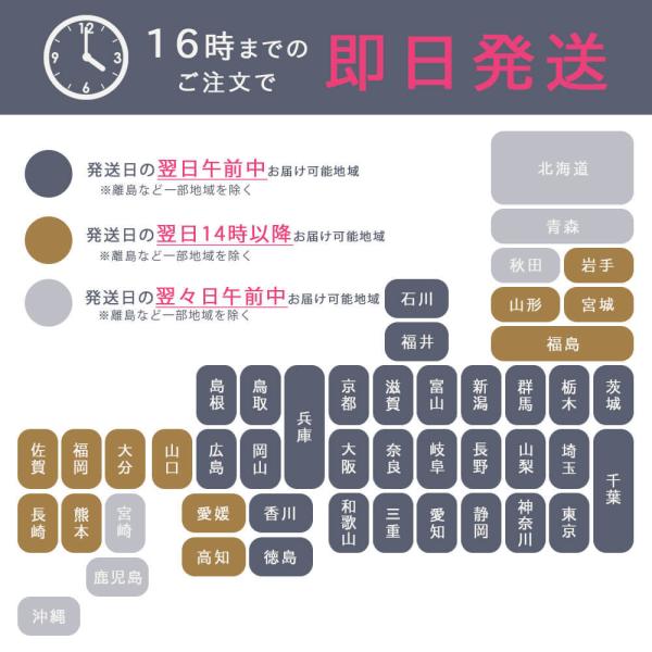 喪服 レディース ブラックフォーマル スーツ ワンピース 洗える 前開き あすつく S/M/L/LL/3L 2966392_10