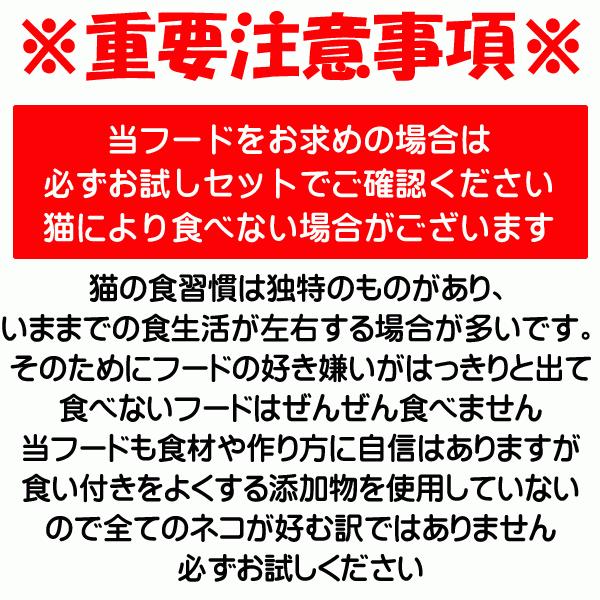 送料無料 国産 無添加 キャットフード ねこのまんま 800g 6個 総合栄養食 高たんぱく 低脂肪 グルテンフリー ドライフード カリカリ 全年齢対応 猫の健康 腎臓 膀胱 尿道 毛玉 猫のエサ ごはん 仔猫 成猫 シニア 保護猫_13