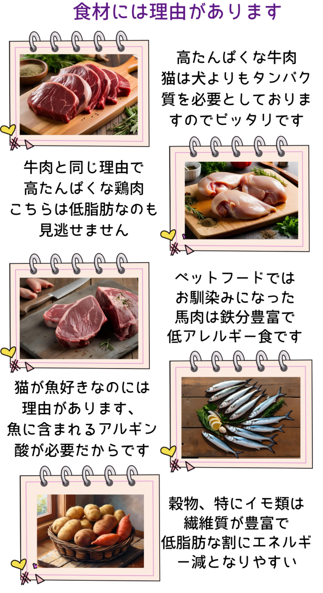 送料無料 国産 無添加 キャットフード ねこのまんま 800g 6個 総合栄養食 高たんぱく 低脂肪 グルテンフリー ドライフード カリカリ 全年齢対応 猫の健康 腎臓 膀胱 尿道 毛玉 猫のエサ ごはん 仔猫 成猫 シニア 保護猫_3