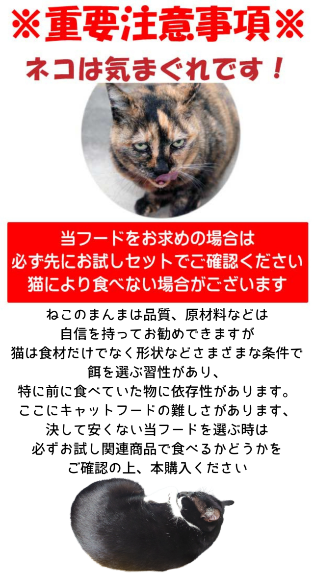 送料無料 国産 無添加 キャットフード ねこのまんま 800g 6個 総合栄養食 高たんぱく 低脂肪 グルテンフリー ドライフード カリカリ 全年齢対応 猫の健康 腎臓 膀胱 尿道 毛玉 猫のエサ ごはん 仔猫 成猫 シニア 保護猫_7