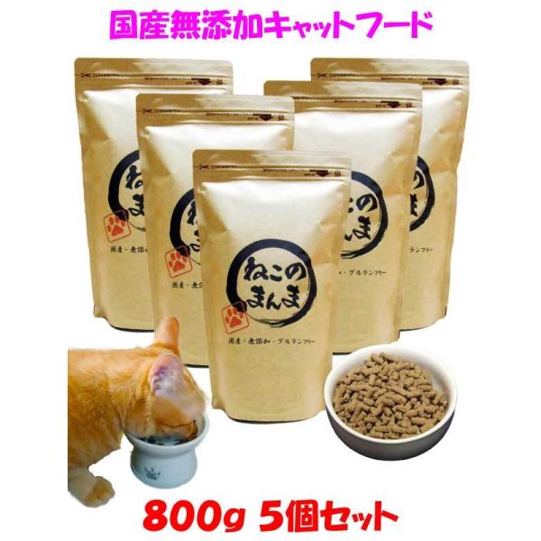 送料無料 国産 無添加 キャットフード ねこのまんま 800g 5個 総合栄養食 高たんぱく 低脂肪 グルテンフリー ドライフード カリカリ 全年齢対応 猫の健康 腎臓 膀胱 尿道 毛玉 猫のエサ ごはん 仔猫 成猫 シニア 保護猫