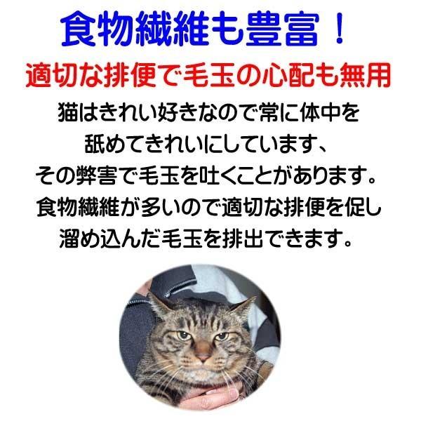 送料無料 国産 無添加 キャットフード ねこのまんま 2.5kg 2個 総合栄養食 高たんぱく 低脂肪 グルテンフリー ドライフード カリカリ 全年齢対応 猫の健康 腎臓 膀胱 尿道 毛玉 猫のエサ ごはん 仔猫 成猫 シニア 保護猫_10