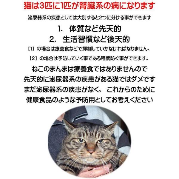 送料無料 国産 無添加 キャットフード ねこのまんま 2.5kg 2個 総合栄養食 高たんぱく 低脂肪 グルテンフリー ドライフード カリカリ 全年齢対応 猫の健康 腎臓 膀胱 尿道 毛玉 猫のエサ ごはん 仔猫 成猫 シニア 保護猫_15