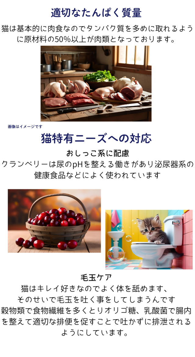 送料無料 国産 無添加 キャットフード ねこのまんま 2.5kg 2個 総合栄養食 高たんぱく 低脂肪 グルテンフリー ドライフード カリカリ 全年齢対応 猫の健康 腎臓 膀胱 尿道 毛玉 猫のエサ ごはん 仔猫 成猫 シニア 保護猫_2