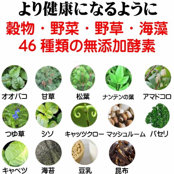 送料無料 国産 無添加 ドッグフード グルテンフリー 鶏肉 馬肉 お米のドッグフード 2kg 2個 全犬種対応 アレルギー ドライフード 高たんぱく 低脂肪 食いつき ダイエット シニア犬 避妊・去勢 涙やけ 目やに 体臭_12