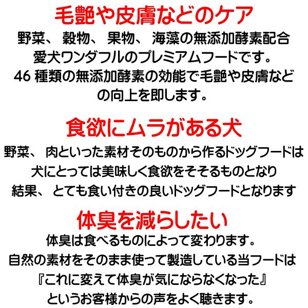 送料無料 国産 無添加 ドッグフード グルテンフリー 鶏肉 馬肉 お米のドッグフード 2kg 2個 全犬種対応 アレルギー ドライフード 高たんぱく 低脂肪 食いつき ダイエット シニア犬 避妊・去勢 涙やけ 目やに 体臭_15
