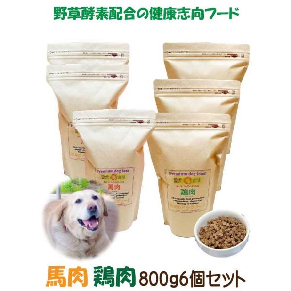 送料無料 国産 無添加 ドッグフード グルテンフリー 鶏肉 馬肉 お米のドッグフード 800g 6個 全犬種対応 アレルギー ドライフード 高たんぱく 低脂肪 食いつき ダイエット シニア犬 避妊・去勢 涙やけ 目やに 体臭