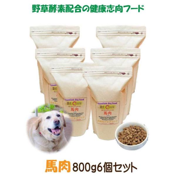 送料無料 国産 無添加 ドッグフード グルテンフリー 馬肉 お米のドッグフード 800g 6個 全犬種対応 アレルギー ドライフード 高たんぱく 低脂肪 食いつき ダイエット シニア犬 避妊・去勢 涙やけ 目やに 体臭