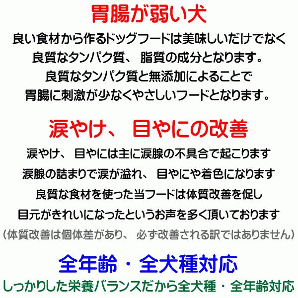 送料無料 国産 無添加 ドッグフード グルテンフリー 馬肉 お米のドッグフード 800g 6個 全犬種対応 アレルギー ドライフード 高たんぱく 低脂肪 食いつき ダイエット シニア犬 避妊・去勢 涙やけ 目やに 体臭_13