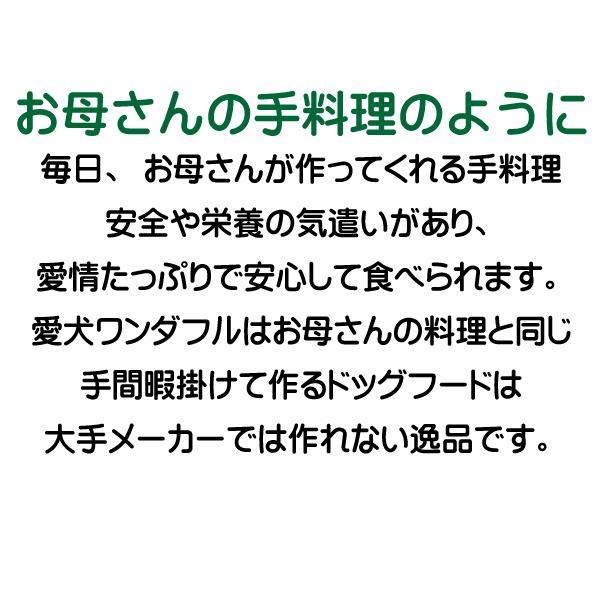 送料無料 国産 無添加 鶏肉 ドッグフード 愛犬ワンダフル 2.2kg 2個 小粒 普通粒 全犬種対応 犬用 アレルギー ドライフード 低カロリー 高たんぱく 低脂肪 食いつき ダイエット シニア犬 避妊・去勢 涙やけ 目やに 体臭_12