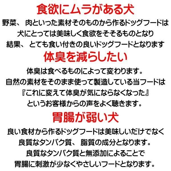 送料無料 国産 無添加 鶏肉 ドッグフード 愛犬ワンダフル 2.2kg 2個 小粒 普通粒 全犬種対応 犬用 アレルギー ドライフード 低カロリー 高たんぱく 低脂肪 食いつき ダイエット シニア犬 避妊・去勢 涙やけ 目やに 体臭_16