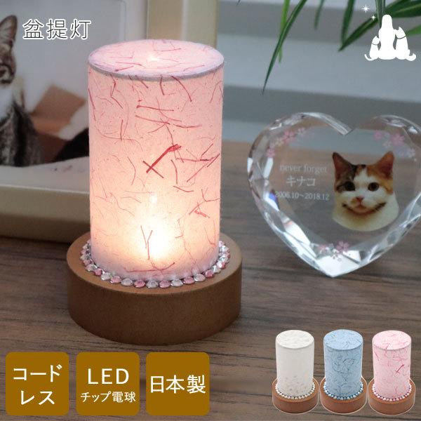 ペット 盆提灯 ミニ コードレス アイリス 美濃和紙 LEDチップ 初盆 新盆 おしゃれ かわいい お盆 提灯 お盆用品