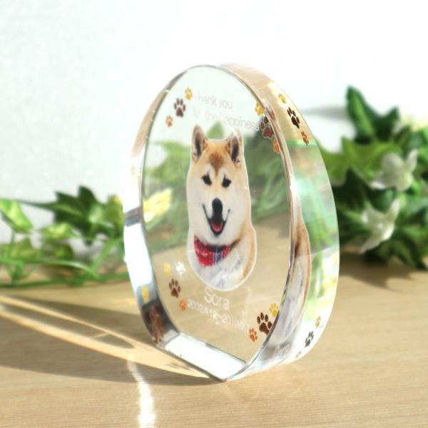 ペット位牌クリスタル サークルスタンド（M)7ｃｍ カラー印刷 名入れ メッセージ 犬 猫 クリスタルガラス製_2