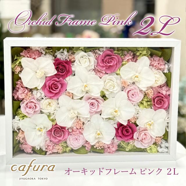 プリザーブドフラワー 胡蝶蘭 フレーム 額装 退職祝い 開業祝い 就任祝い お祝い 結婚式 結婚祝い 結婚記念日 お彼岸 お供え花 お悔やみ お供え 女性 ギフト 米寿 妻 両親 還暦 父 母 ブリザードフラワー 新築祝い 退職 米寿 義母 送料無料_1