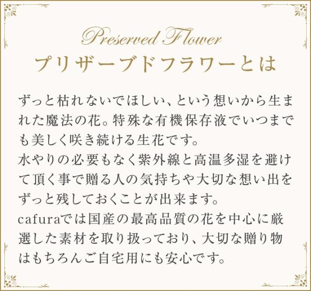 プリザーブドフラワー 胡蝶蘭 フレーム 額装 退職祝い 開業祝い 就任祝い お祝い 結婚式 結婚祝い 結婚記念日 お彼岸 お供え花 お悔やみ お供え 女性 ギフト 米寿 妻 両親 還暦 父 母 ブリザードフラワー 新築祝い 退職 米寿 義母 送料無料_4